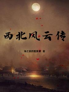 西北风云深度解读
